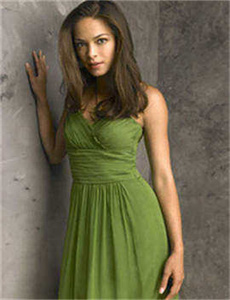 特工总裁校花宠妻